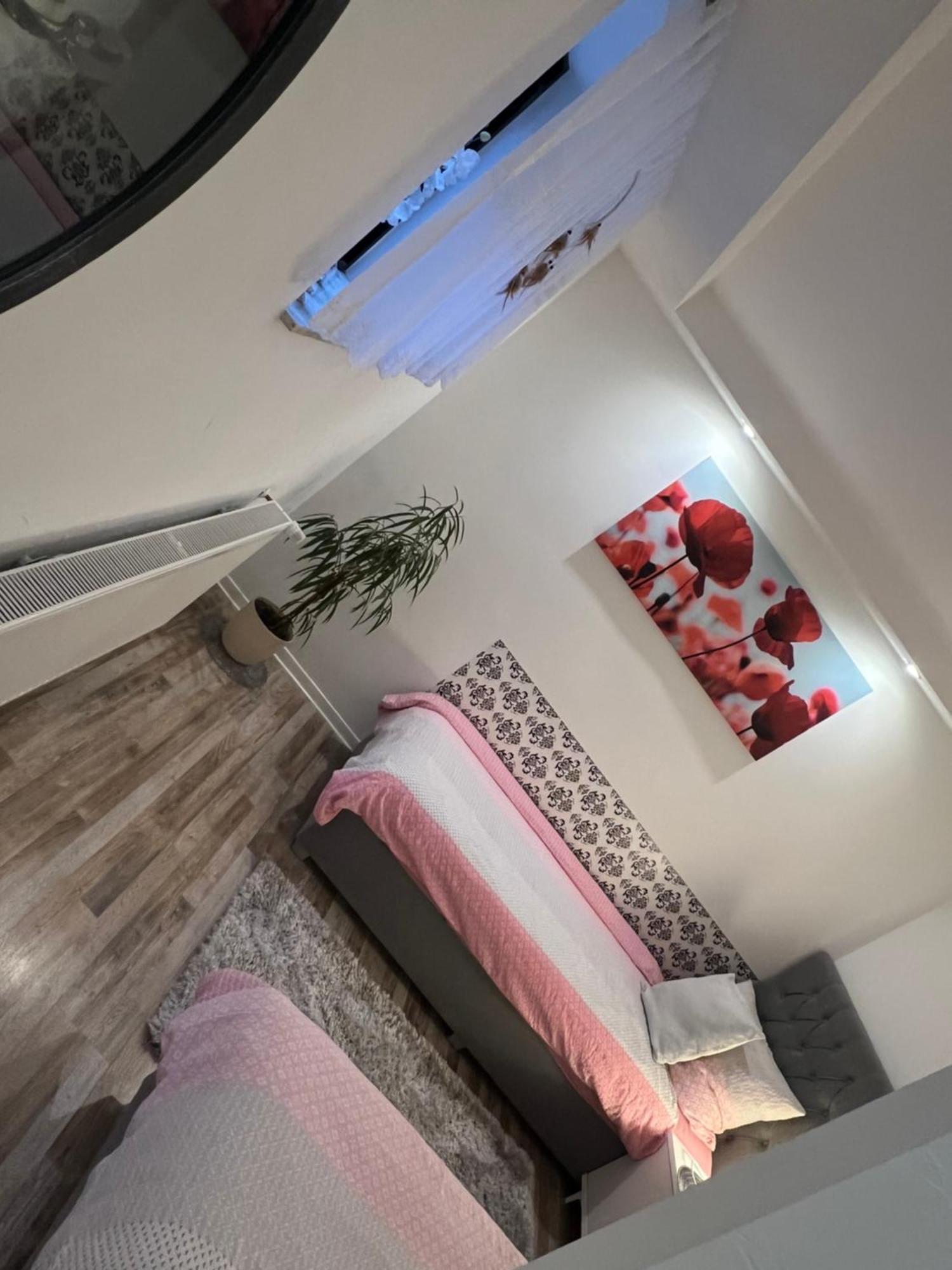 Beti Apartment 2 Nentershausen  ภายนอก รูปภาพ